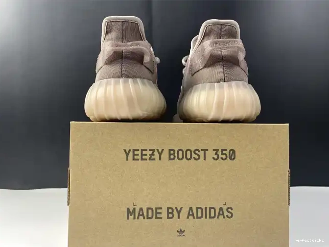 V2 350 Yeezy Boost Mist Adidas Mono GW2871 0503
